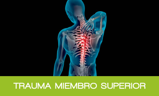 Trauma miembro superior Trauma miembro superior